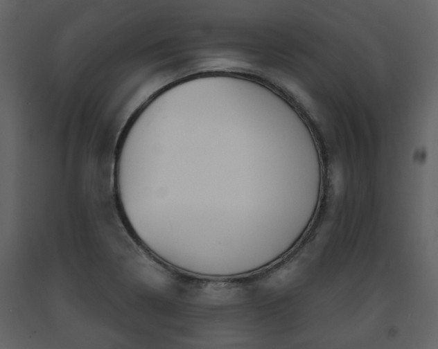 X0000091681322200708231058