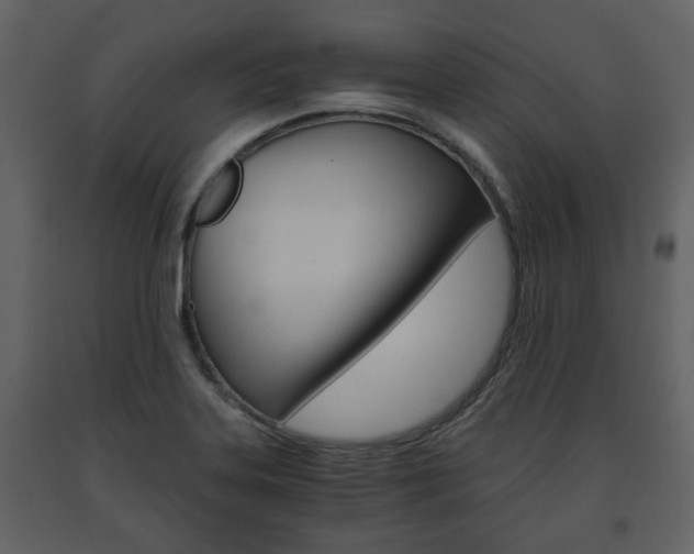 X0000091681323200708231058