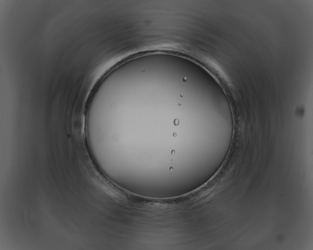 X0000091681324200708231058