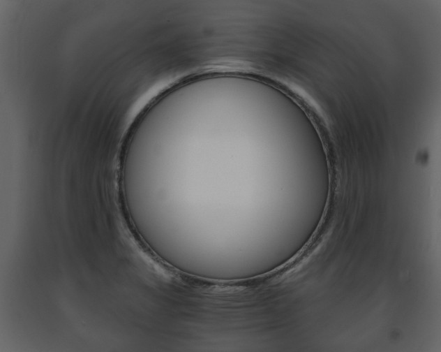 X0000091681325200708231058