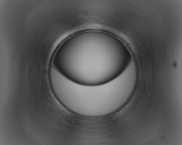 X0000091681326200708231058