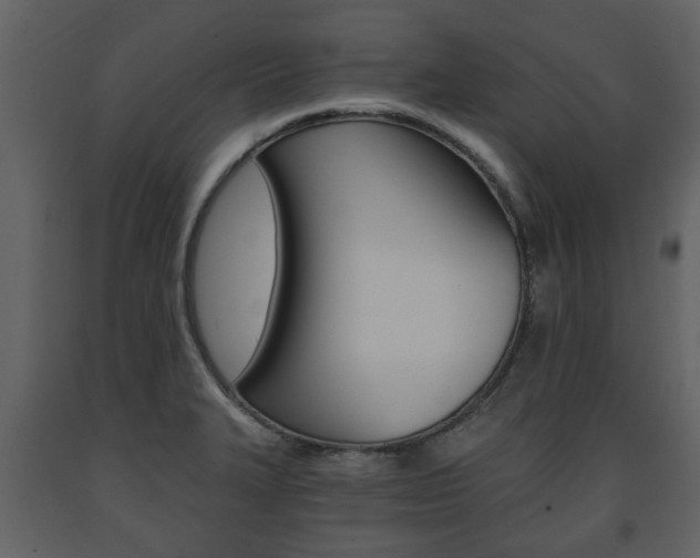 X0000091681327200708231058