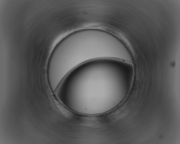 X0000091681328200708231058