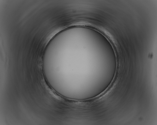 X0000091681329200708231058