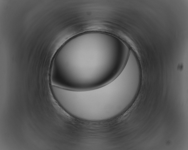 X0000091681330200708231058