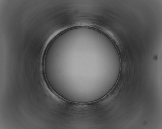 X0000091681331200708231058