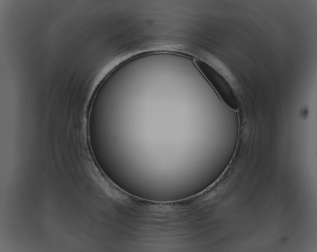 X0000091681332200708231058