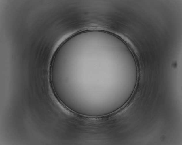 X0000091681333200708231058