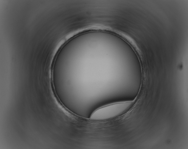 X0000091681335200708231058