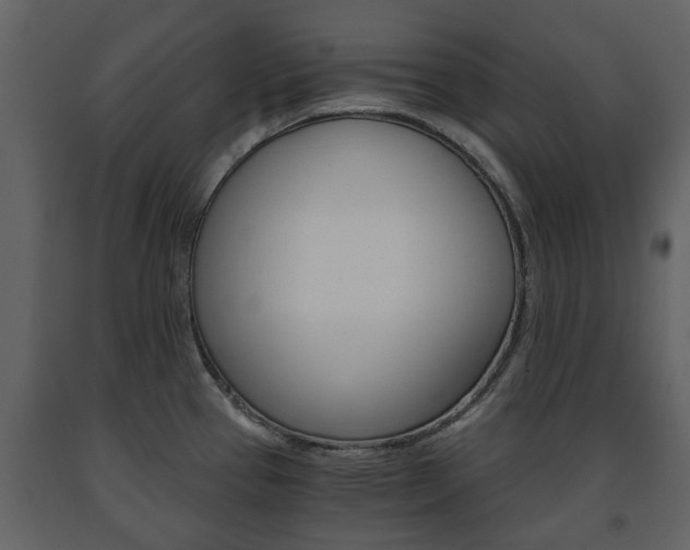 X0000091681337200708231059