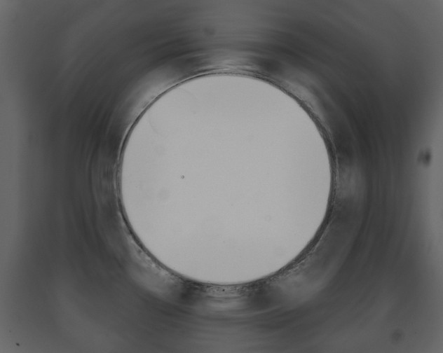 X0000091681338200708231059