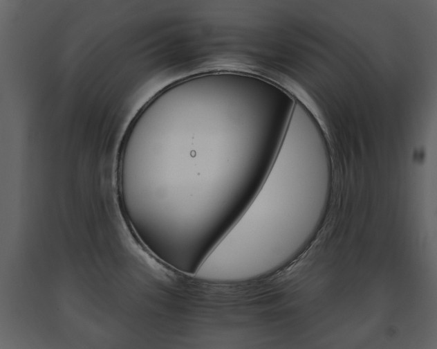 X0000091681339200708231059