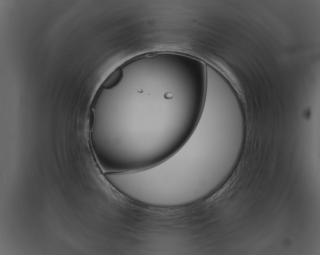 X0000091681340200708231059
