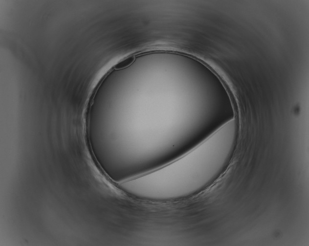X0000091681341200708231059