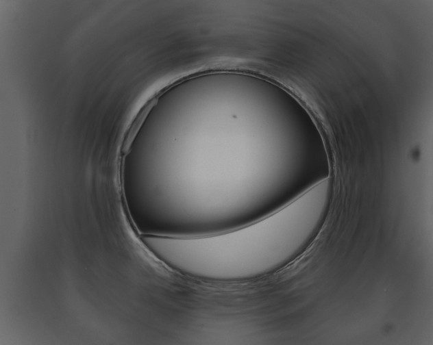 X0000091681342200708231059