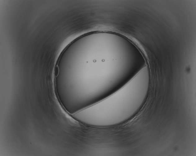X0000091681343200708231059