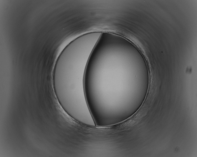 X0000091681344200708231059