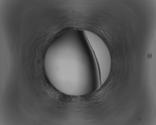 X0000091681345200708231058