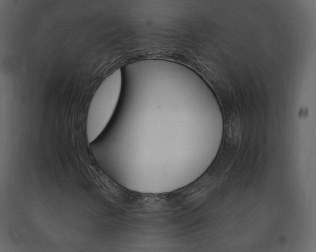 X0000091681346200708231058