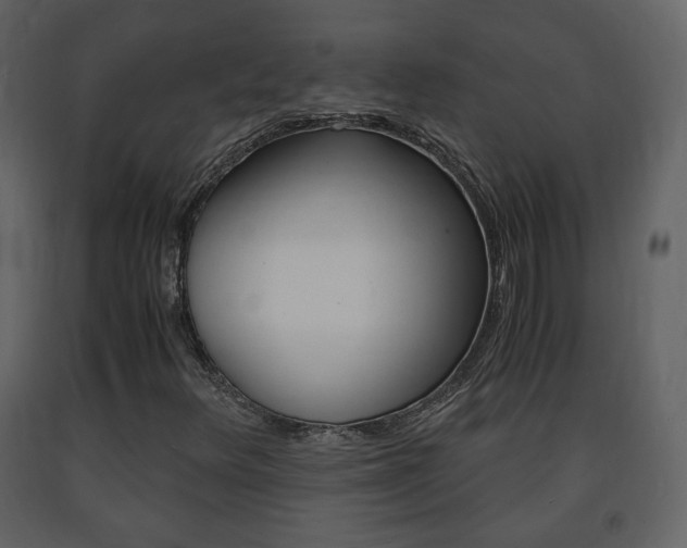 X0000091681348200708231058