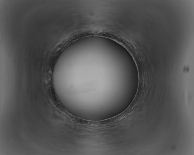 X0000091681349200708231058