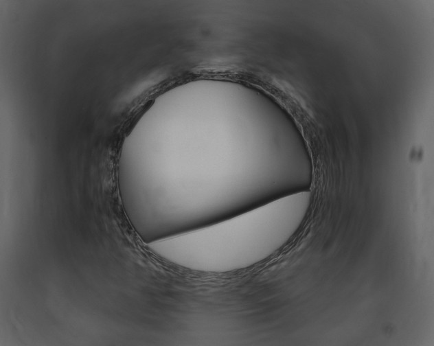 X0000091681350200708231058
