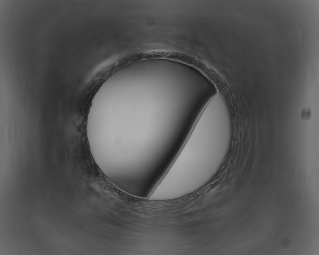 X0000091681351200708231058