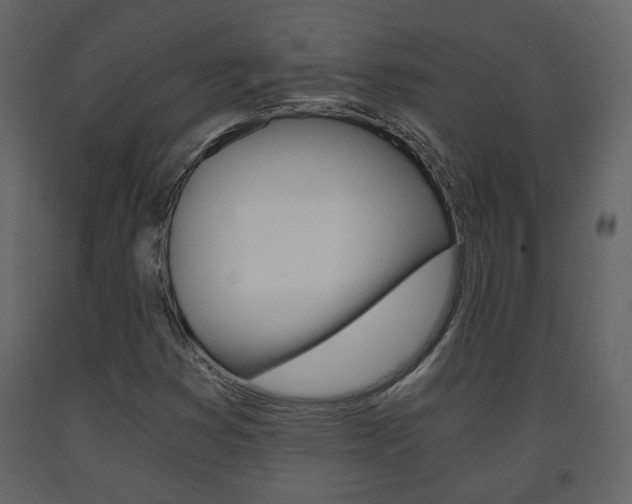 X0000091681353200708231058
