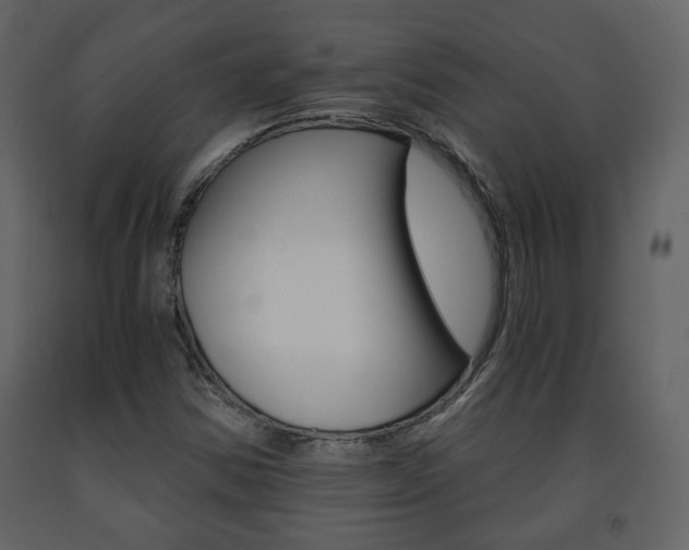 X0000091681354200708231058