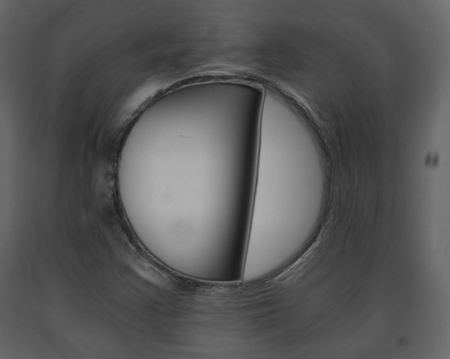 X0000091681355200708231058