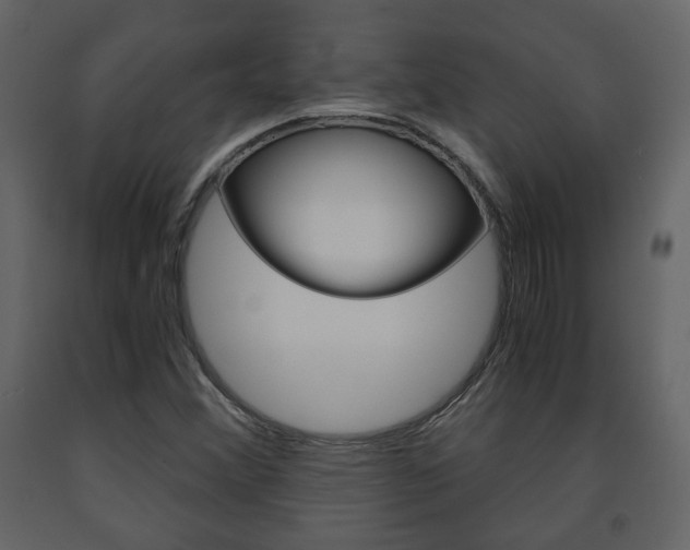 X0000091681356200708231058