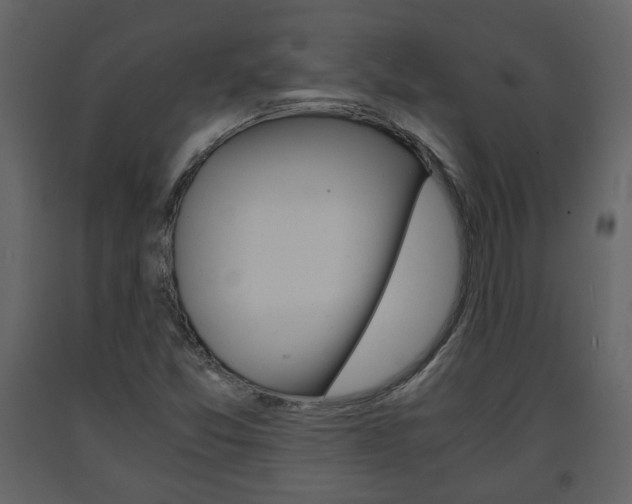 X0000091681357200708231058