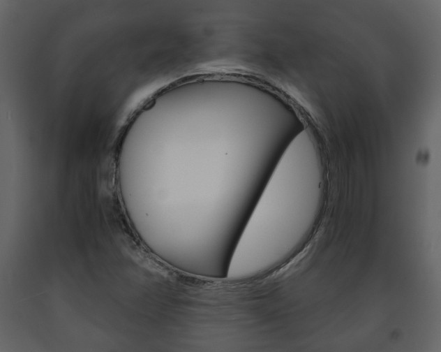 X0000091681358200708231058