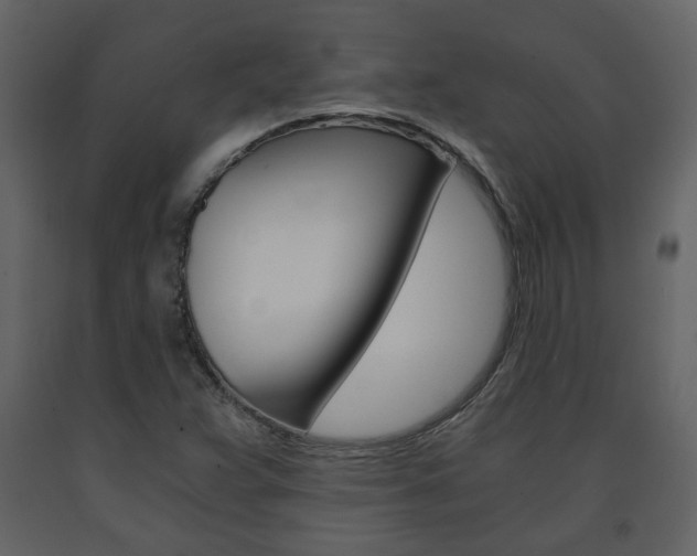 X0000091681359200708231058