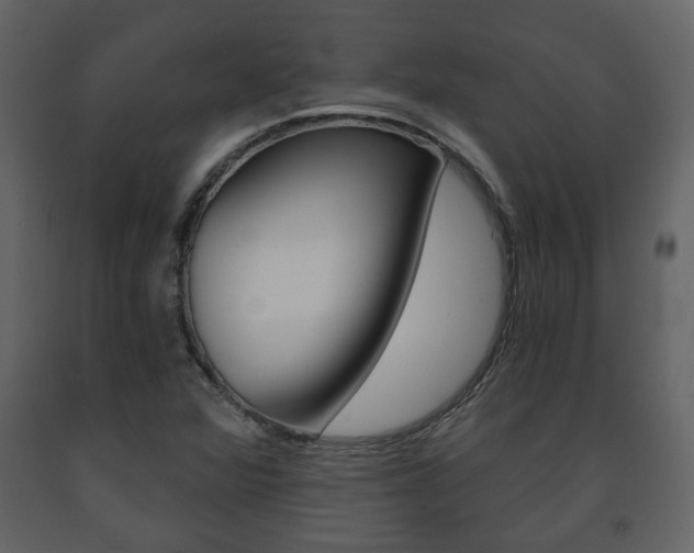 X0000091681360200708231058