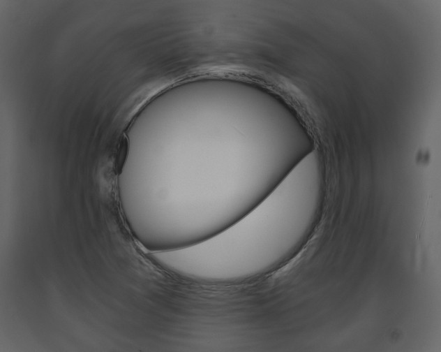 X0000091681361200708231058