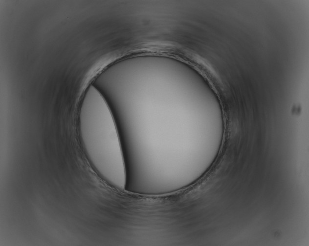 X0000091681362200708231058