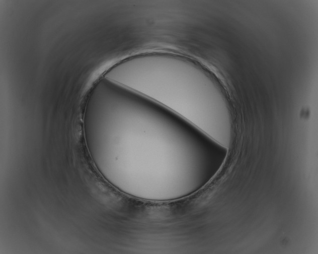 X0000091681363200708231058