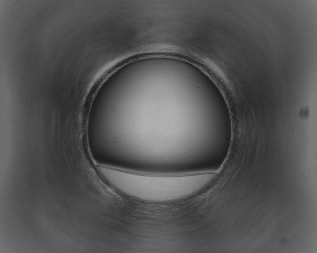 X0000091681364200708231058