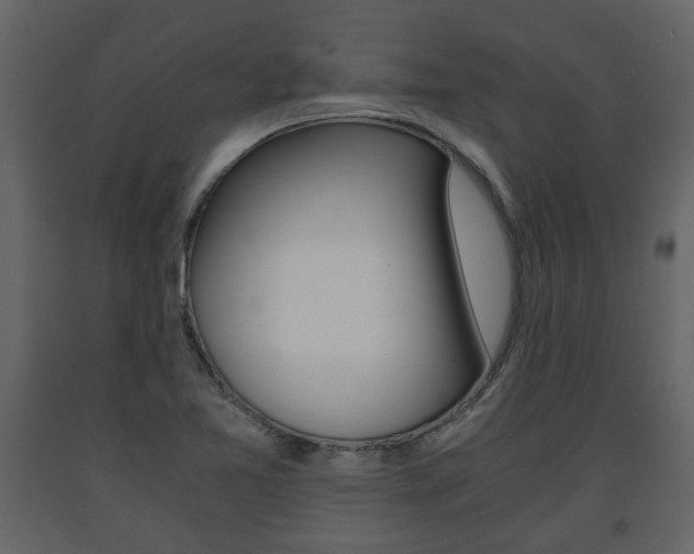 X0000091681365200708231058