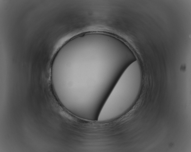 X0000091681366200708231058