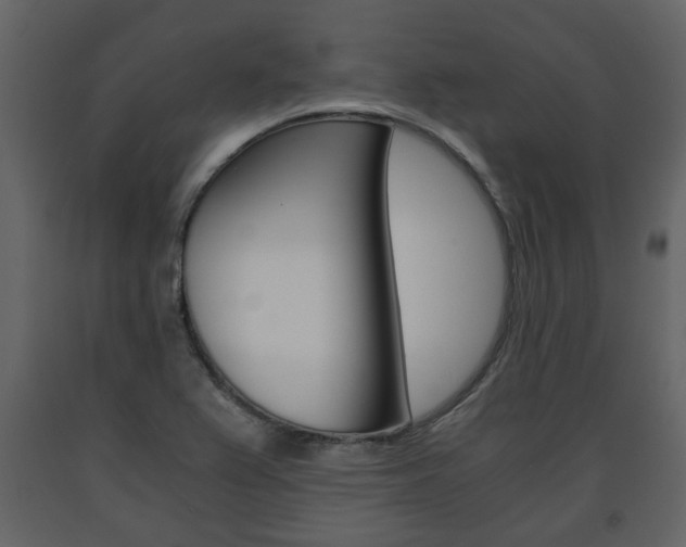 X0000091681367200708231058