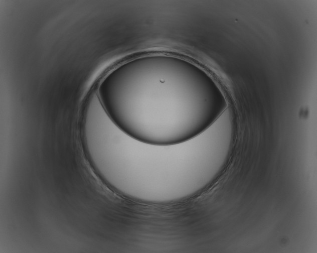 X0000091681368200708231058