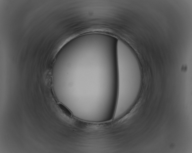 X0000091681369200708231058