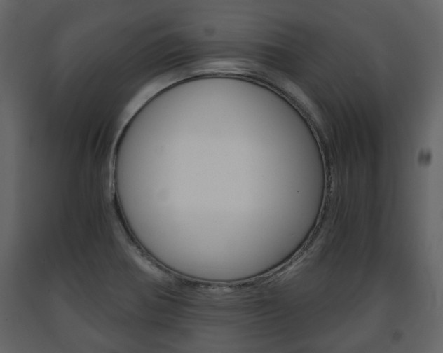 X0000091681370200708231058