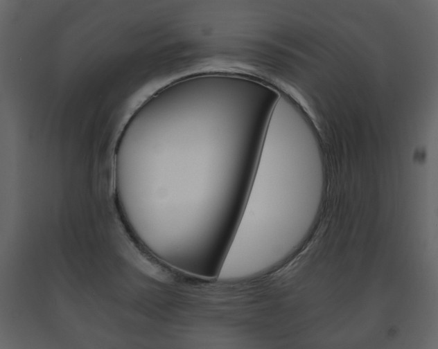 X0000091681371200708231058