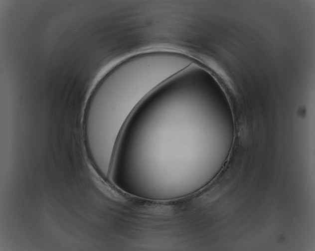 X0000091681372200708231058