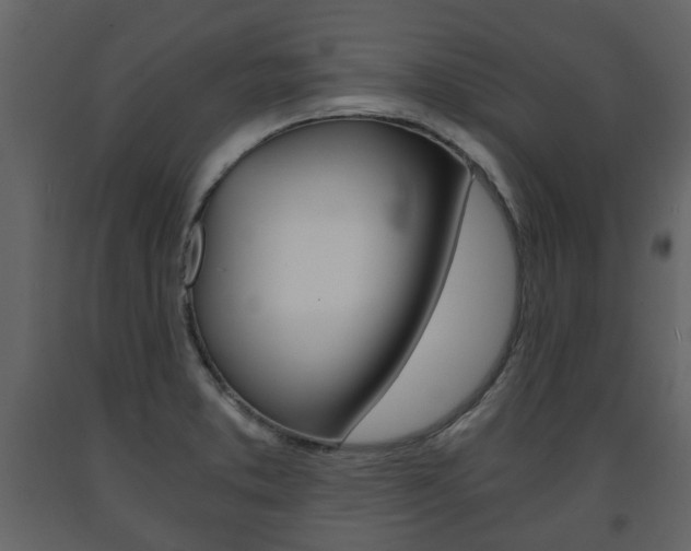 X0000091681373200708231058