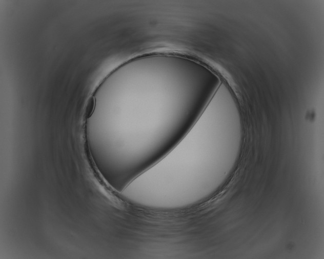 X0000091681375200708231058
