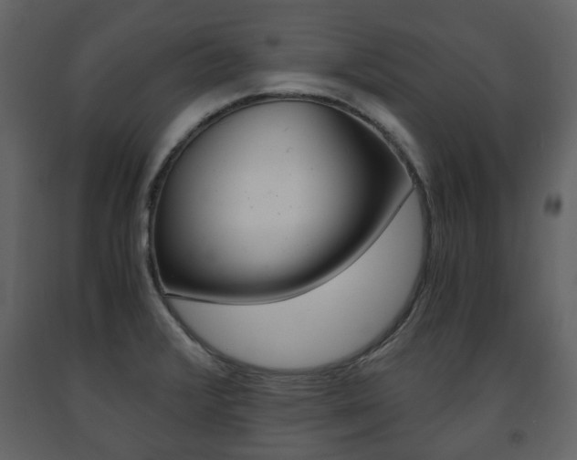 X0000091681376200708231058